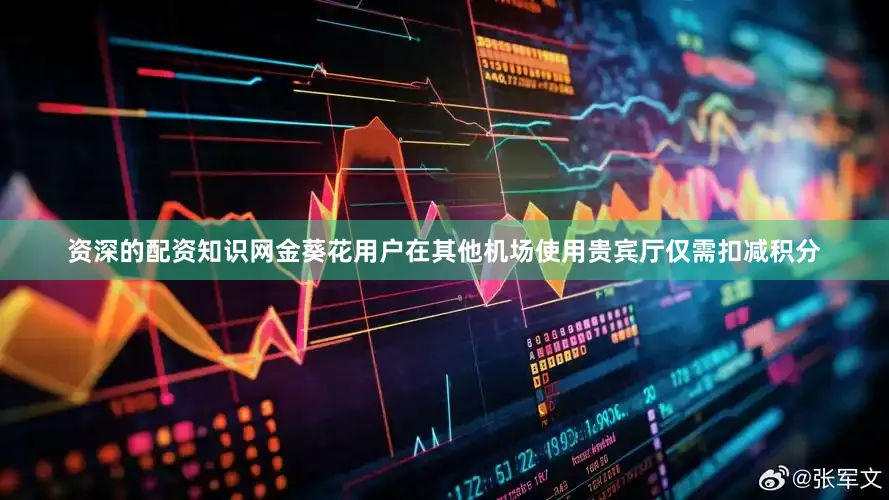 资深的配资知识网金葵花用户在其他机场使用贵宾厅仅需扣减积分