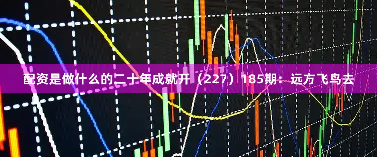 配资是做什么的二十年成就开（227）　　185期：远方飞鸟去
